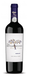 Merlot Viile Metamorfosis