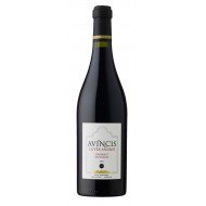 Avincis Cuvee Andrei Cabernet Sauvignon Magnum