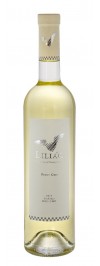 Liliac Pinot Gris - vin alb sec