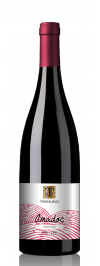 Thesaurus Amadoc Pinot Noir