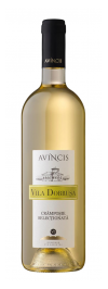Avincis Vila Dobrusa Cramposie Selectionata