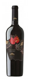 Montemajor &rdquo;Equinox &rdquo; Aglianico Rosso Amabile IGT