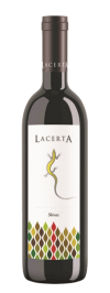 LACERTA SHIRAZ