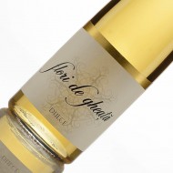 Tohani Flori de Gheata Tamaioasa Romanesca