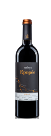 Catleya Epopee 06 rosu 2019