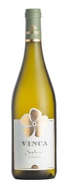 Vinca  Sophia Chardonnay Carastelec - Vin alb sec