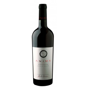Aurelia Visinescu Anima 3 Fete Negre Seria 011